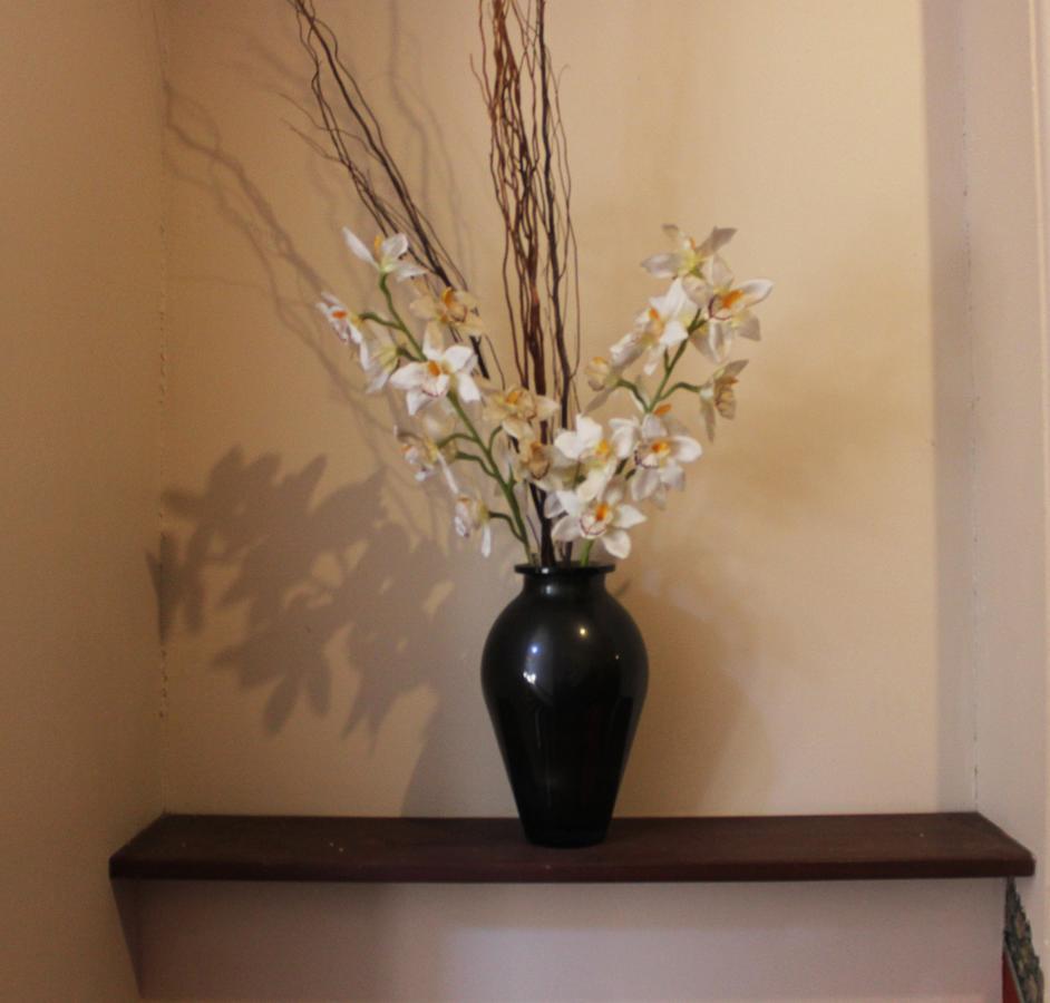 Burwood Bed And Breakfast Sydney Ngoại thất bức ảnh