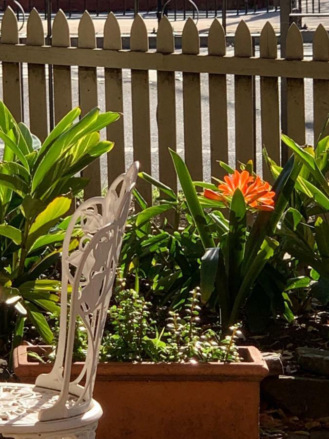 Burwood Bed And Breakfast Sydney Ngoại thất bức ảnh